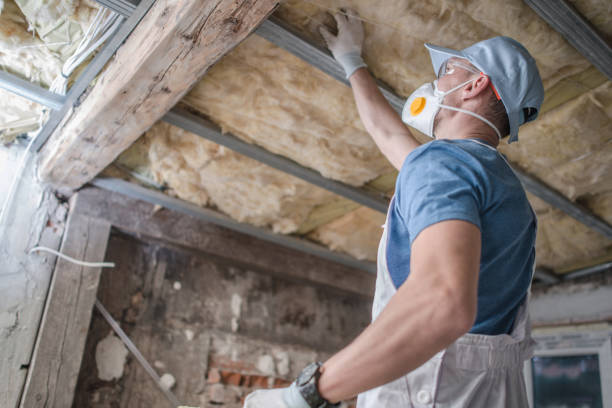 Best Types of Insulation in Baraboo, WI